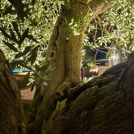 Bed & Breakfast Il Nostro Sogno *