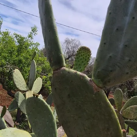 Bed & Breakfast Il Nostro Sogno Ceglie Messapica